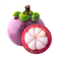 Mangosteen